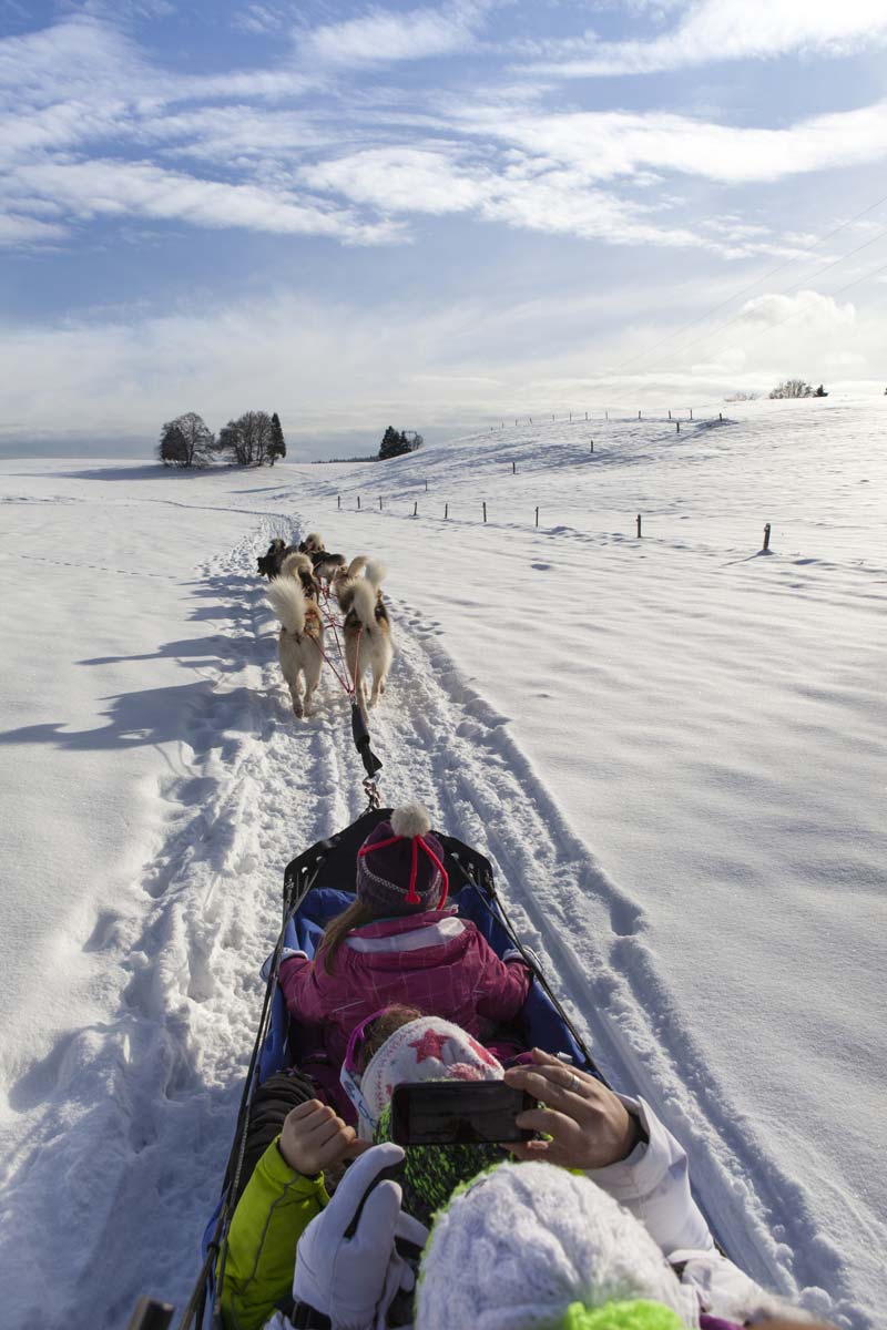 Traîneau à chien à Giron ©Daniel Gillet