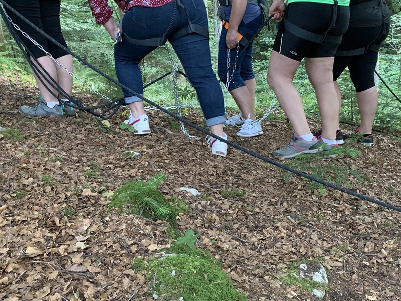 Forest game au parc d'aventures Oyogègène