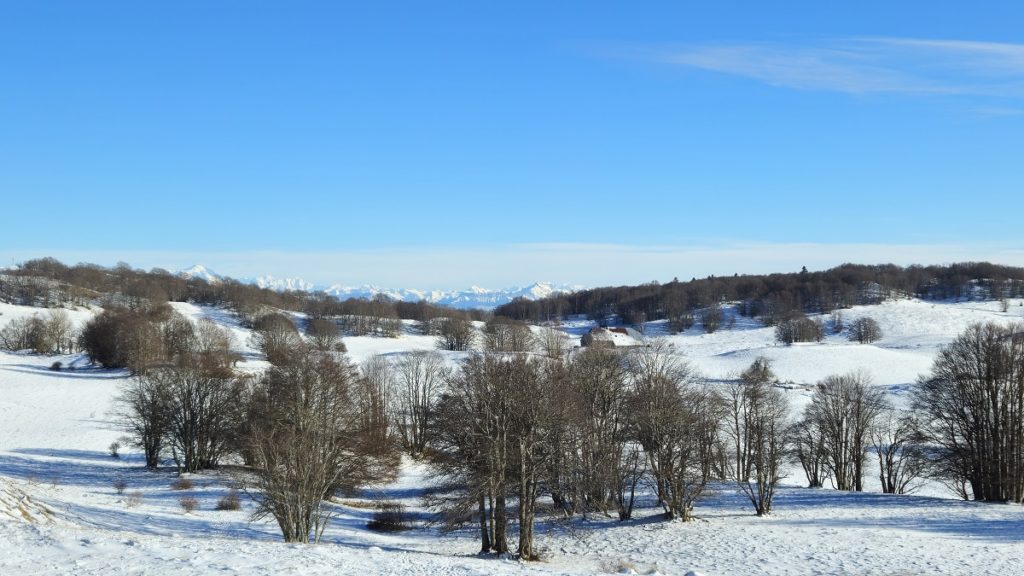 Plateau de Retord en hiver