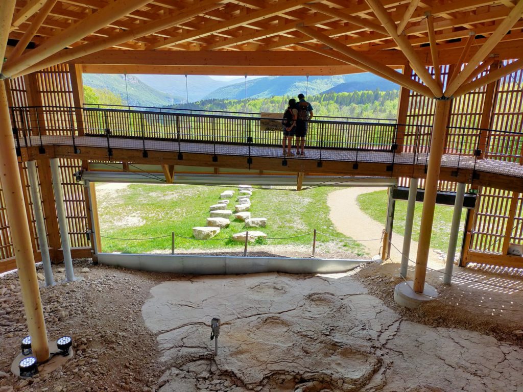 Dinoplagne ©Marie Jacques