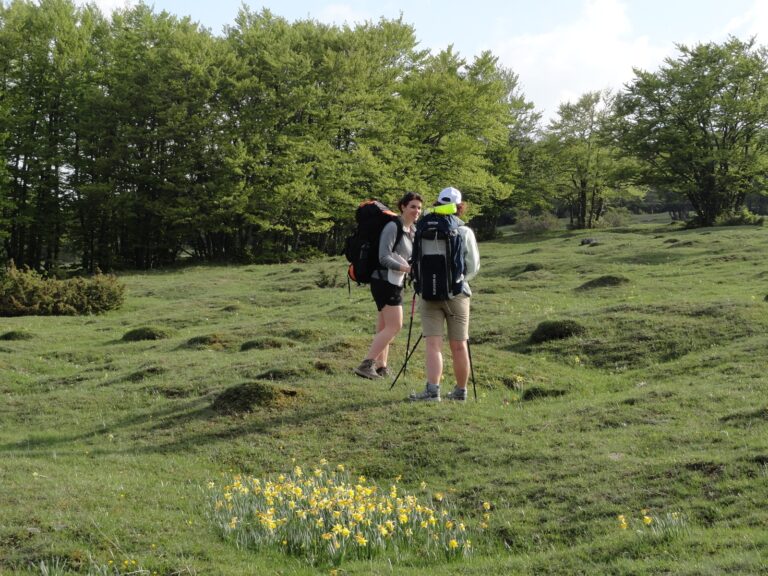 Plateau de Retord