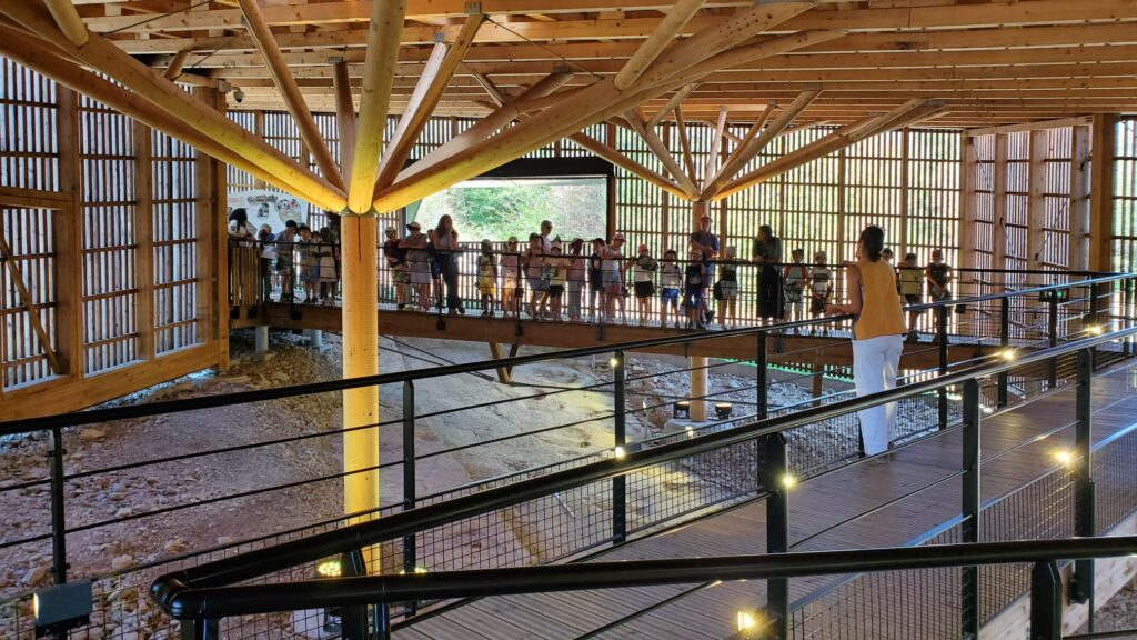 Médiation à Dinoplagne
